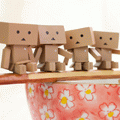 waiwai danboard