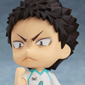 haikyuu nendoroid iwaizumi