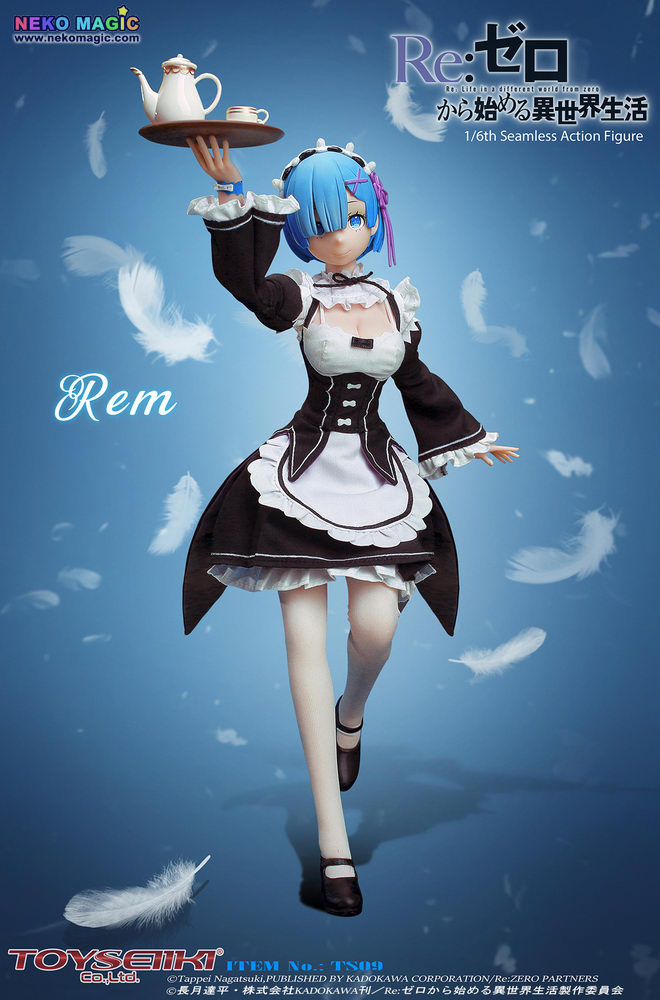 toyseiiki rem