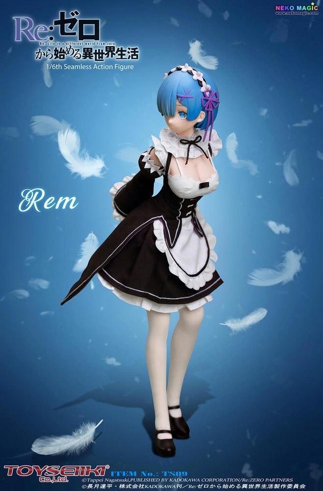 toyseiiki rem