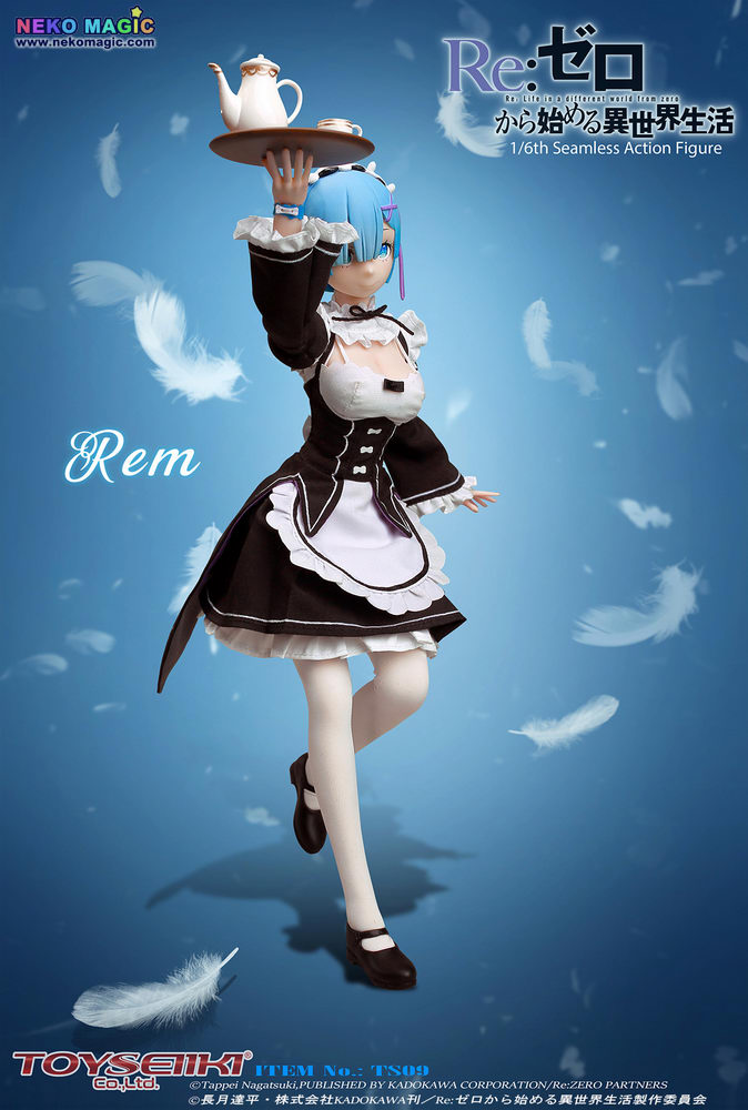 toyseiiki rem